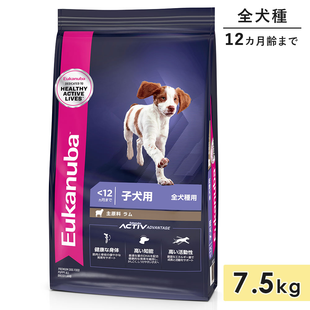 桼̥ ѥԡ 饤 7.5kg Ҹ   12ޤ 1Фޤ ɥåա ɥ饤ա Eukanuba