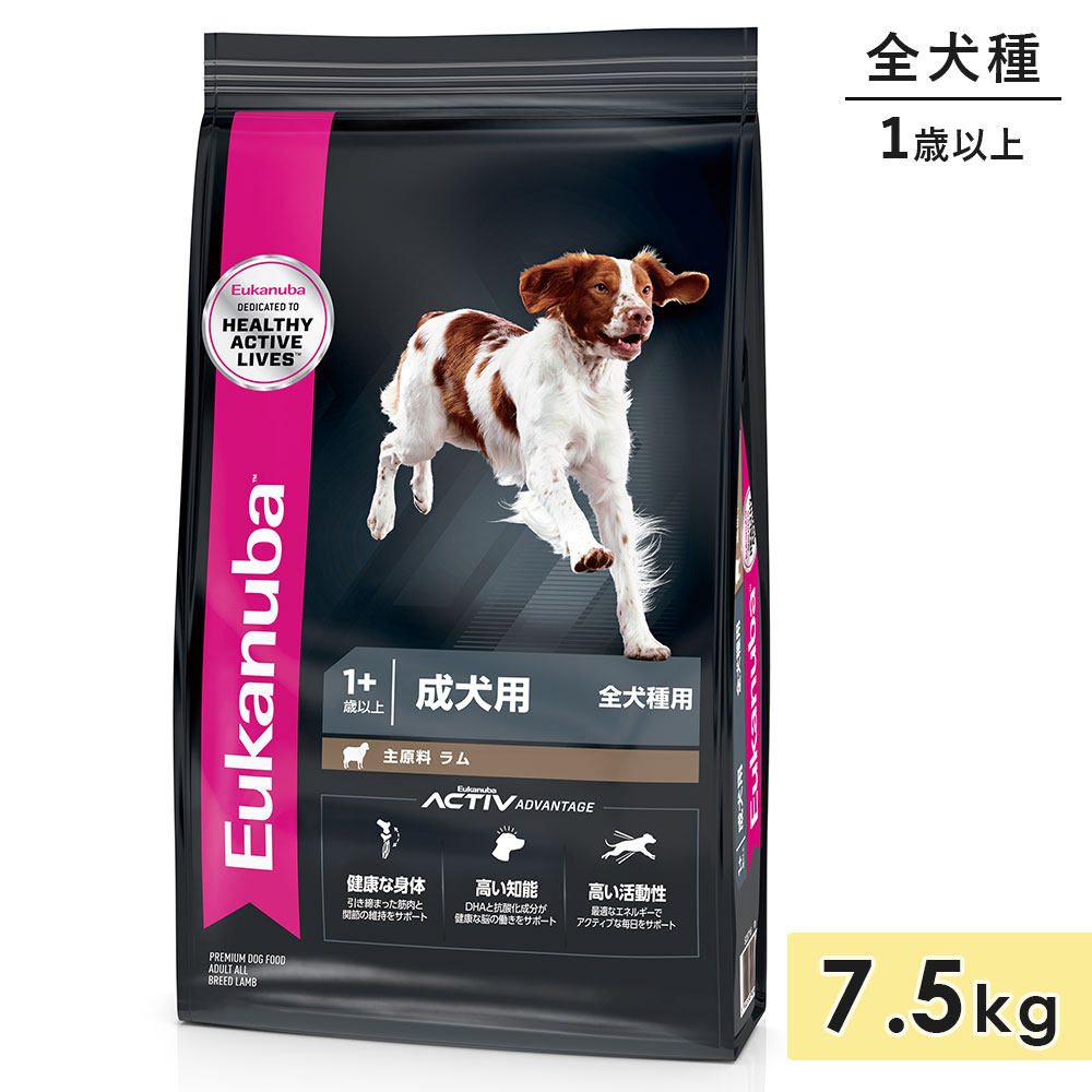 桼̥  饤 7.5kg    1аʾ ɥåա ɥ饤ա Eukanuba