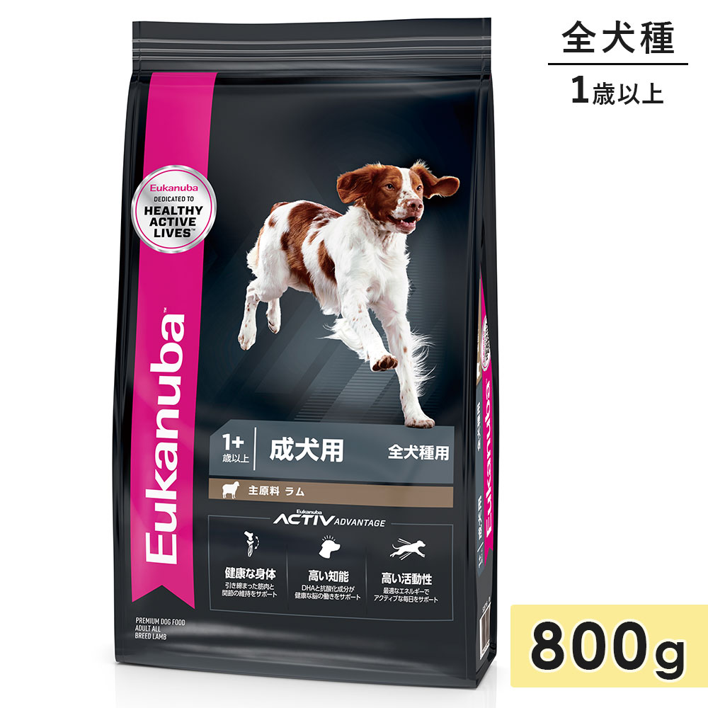 桼̥  饤 800g    1аʾ ɥåա ɥ饤ա Eukanuba