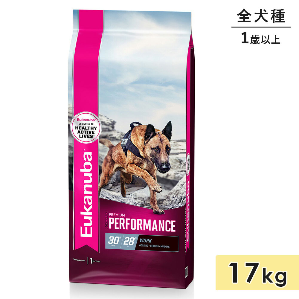 桼̥ ץߥ ѥեޥ 17kg    1аʾ ɥåա ɥ饤ա  Eukanuba