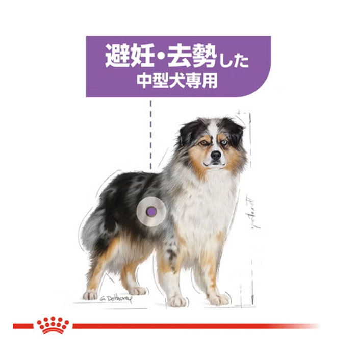 ロイヤルカナン ミディアム ステアライズド 12kg 中型犬用 成犬～高齢 
