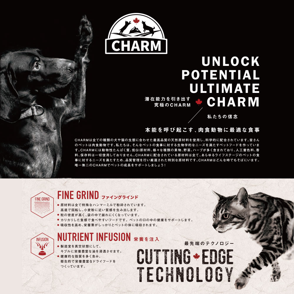 3個セット】CHARM チャーム サーフ＆ターフドッグ 340g 全犬種用 成犬