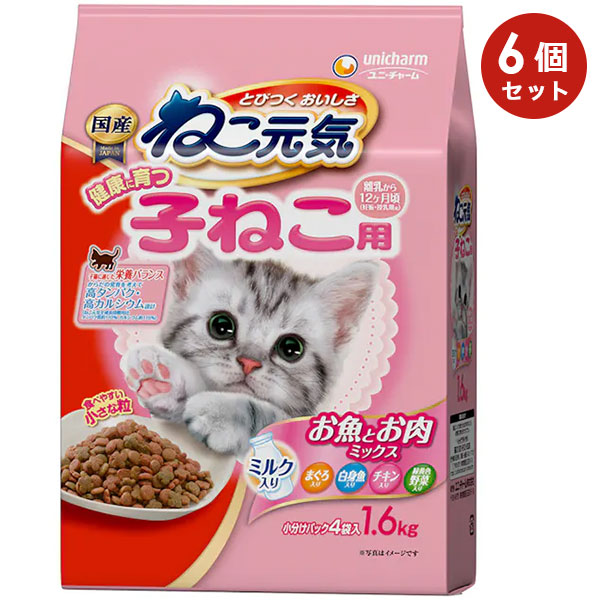 6ĥåȡۤͤ 򹯤˰ĻҤͤѡΥ12 Ȥߥå 1.6kg ǭ åȥա ɥ饤ա ˥㡼ڥå 