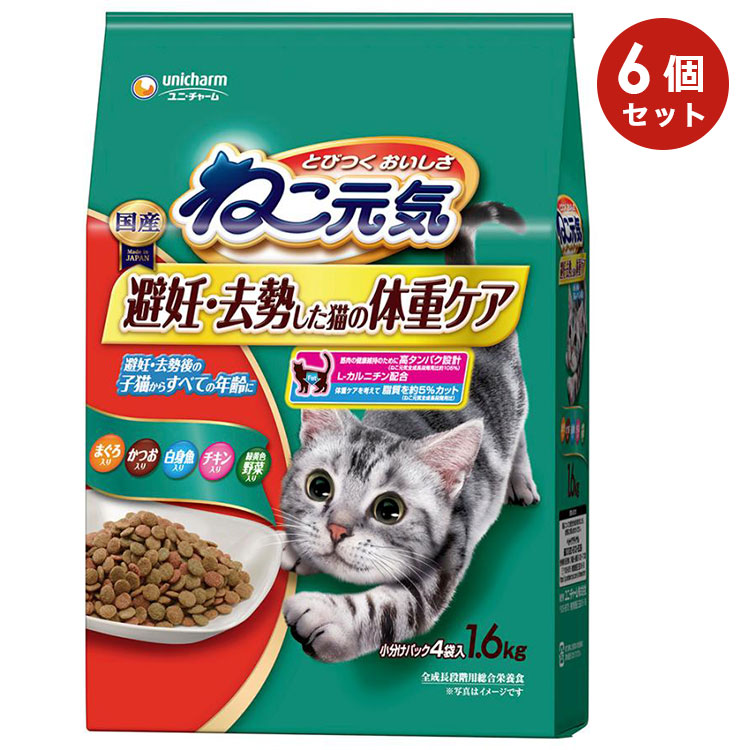 6ĥåȡۤͤ ǥǭνť ޤĤȵв 1.6kg ǭ ǭ ˥ǭ ǭ åȥա ɥ饤ա ˥㡼ڥå 