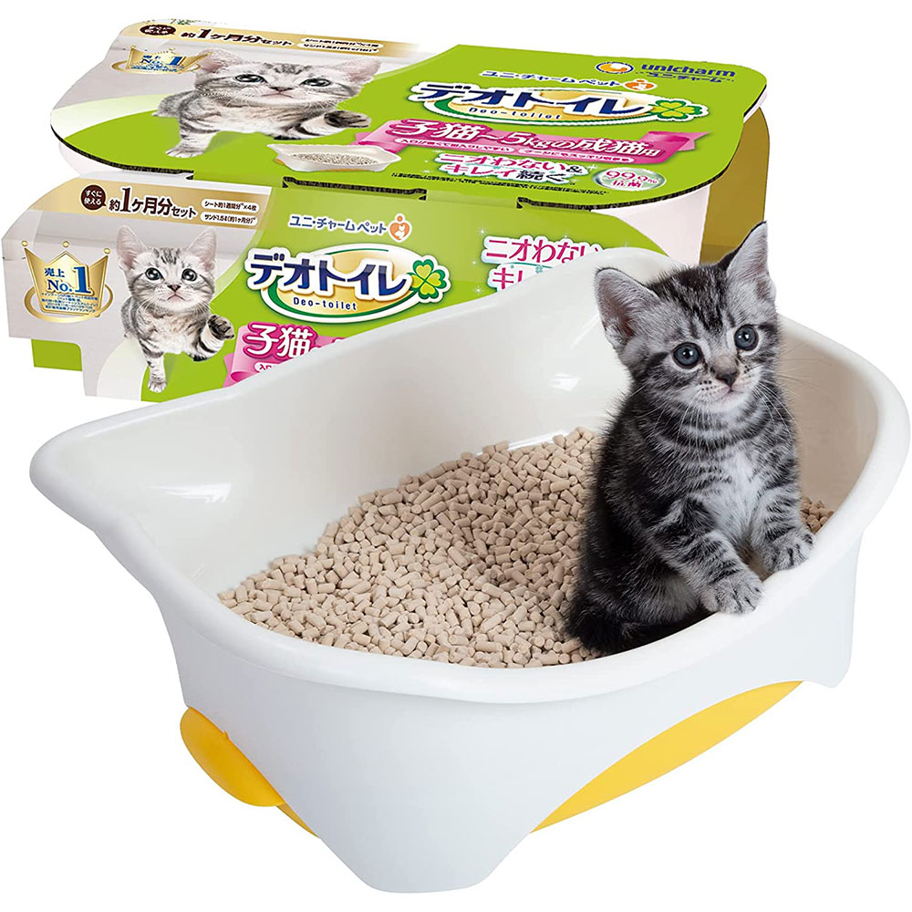 ǭ �ȥ��� �����ƥ�ȥ������� �ǥ��ȥ��� ��ǭ��5kg����ǭ�� ���Υ��å� �ͥ��ȥ��� ������� �ʥ����륢���ܥ꡼���������� ��˥��㡼��