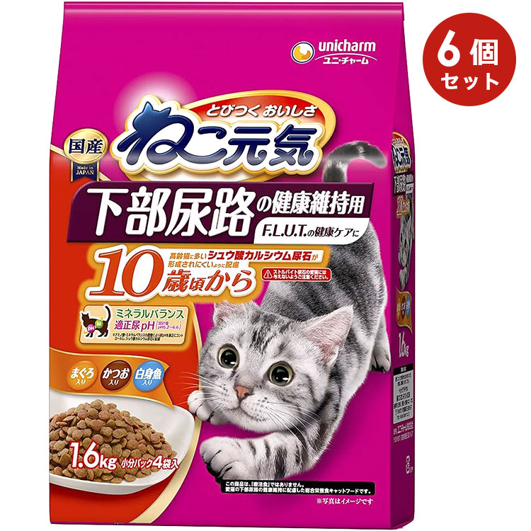 6ĥåȡۤͤ Ǣϩη򹯰ݻ 10к ޤĤȵ 1.6kg ǭ ǭ ˥ǭ åȥա ɥ饤ա ˥㡼ڥå 