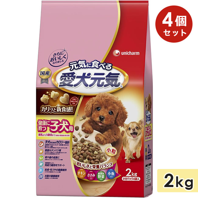 ��4�ĥ��åȡ۰������� �򹯤˰�ĻҸ��� �����󡦤����ߡ��в�����ڡ��������� 2kg �Ҹ��� �ɥå��ա��� �ɥ饤�ա��� �� ������ܿ� ��ˡ����㡼��ڥå� ������