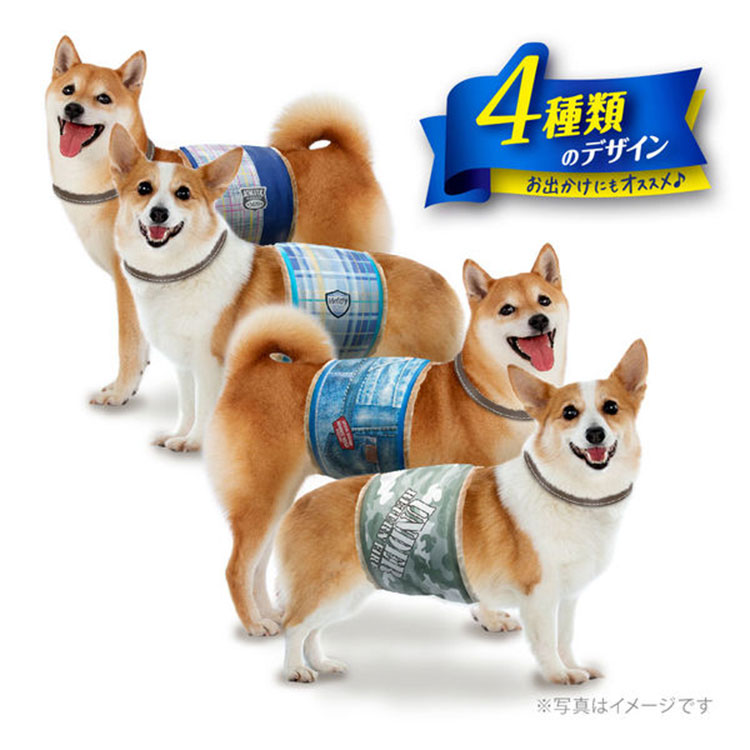 マナーウェア 男の子用 Lサイズ 4種のデザインパック 4枚入り 中型犬