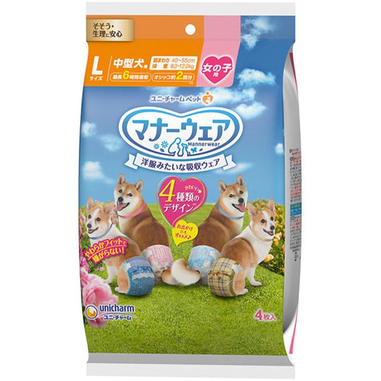 �ޥʡ������� ���λ��� L������ ����Υǥ�����ѥå� 4������ �淿���� ���ѥ���� �ޥʡ��ѥ�� �ȥ������� �椪��� ������å� ��ˡ����㡼��ڥå�