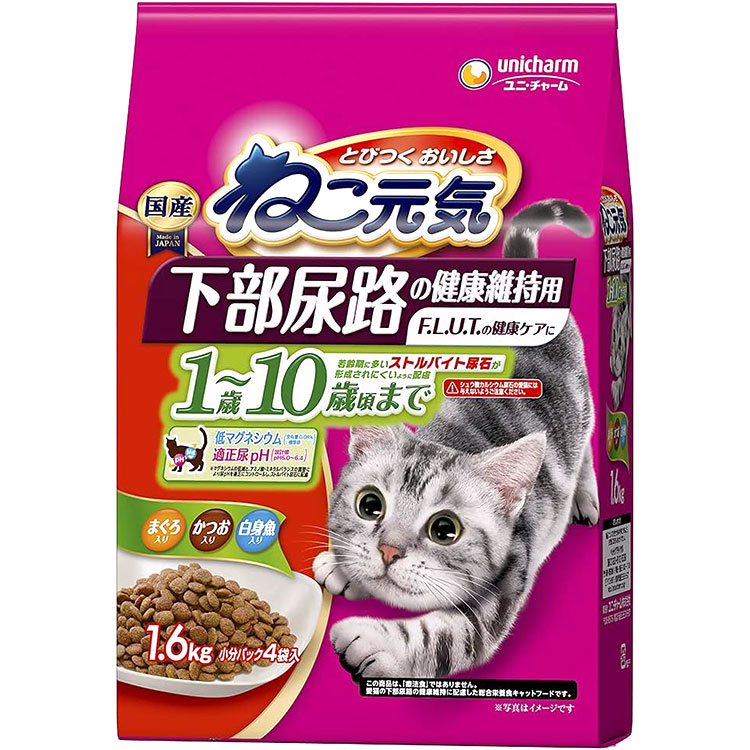 ͤ Ǣϩη򹯰ݻ 1С10кޤ ޤĤȵ 1.6kg ǭ ǭ ˥ǭ åȥա ɥ饤ա ˥㡼ڥå 