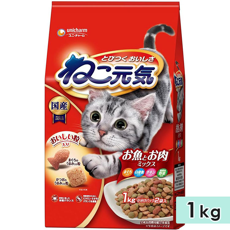 ͤ Ȥߥåޤȵв 1kg ǭ ǭ ˥ǭ ǭ åȥա ɥ饤ա ˥㡼ڥå 