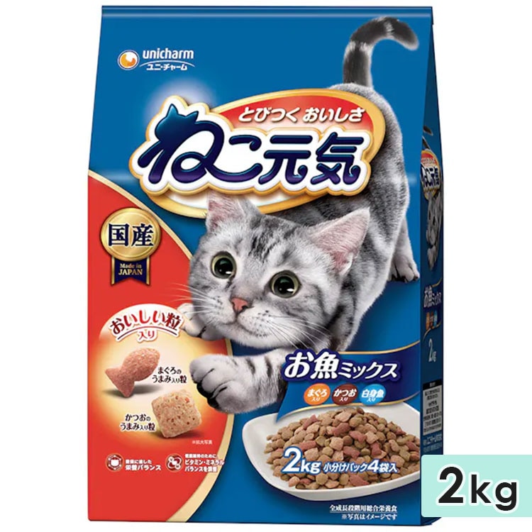 �ͤ����� �����ߥå��� �ޤ��������Ĥ�����ȵ����� 2kg ��ǭ�� ����ǭ�� ���˥�ǭ�� ��ǭ�� ����åȥա��� �ɥ饤�ա��� ��˥��㡼��ڥå� ������