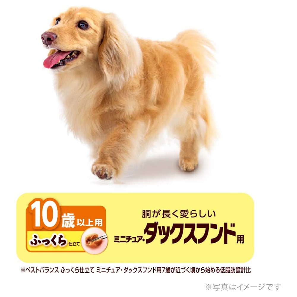 レトリバー ORMA Photo Frame – Rock Photos Online