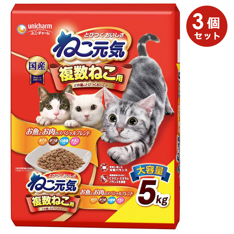 ��3�ĥ��åȡۤͤ����� ʣ���ͤ��� �����Ȥ����Υ��ڥ����֥��� �ޤ��������Ĥ�����ȵ������������� 5kg ��ǭ�� ����ǭ�� ���˥�ǭ�� ��ǭ�� ����åȥա��� �ɥ饤�ա��� ��˥��㡼��ڥå� ������