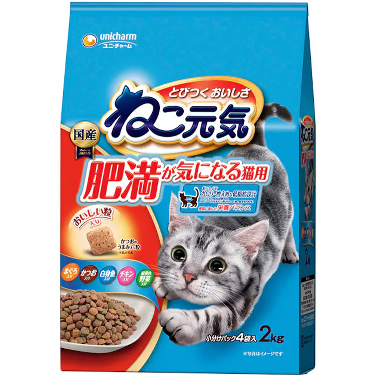 �ͤ����� ���������ˤʤ�ǭ�� �ޤ��������Ĥ�����ȵ����������в���������� 2kg ��ǭ�� ����ǭ�� ���˥�ǭ�� ����åȥա��� �ɥ饤�ա��� ��˥��㡼��ڥå� ������