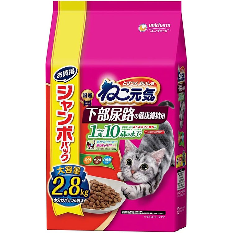 ͤ Ǣϩη򹯰ݻ 1С10кޤ ޤĤȵ 2.8kg ǭ ǭ ˥ǭ åȥա ɥ饤ա ˥㡼ڥå 