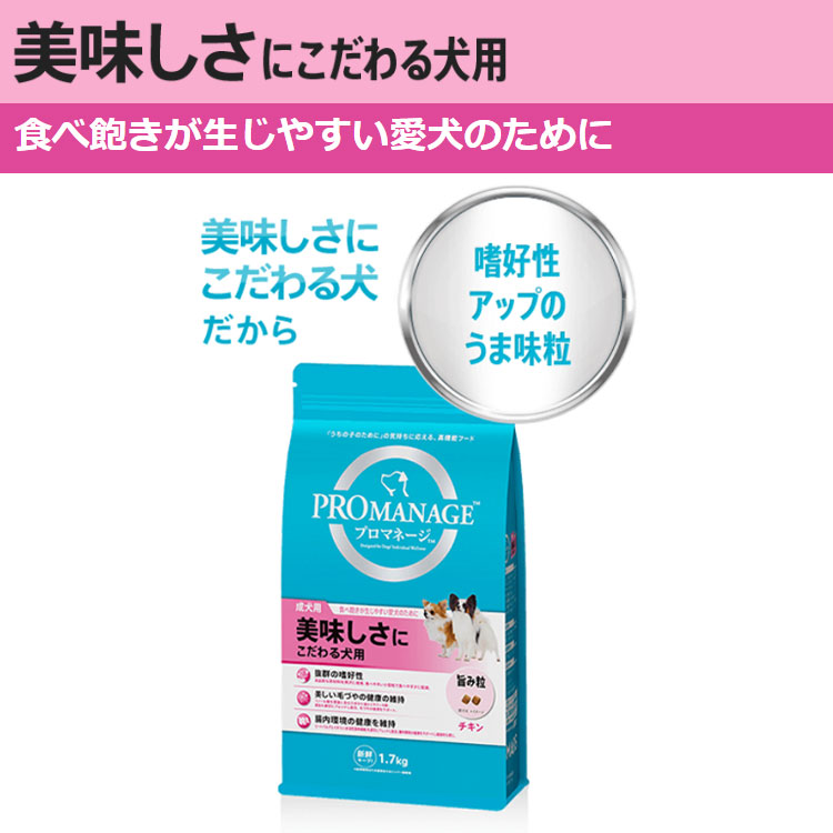 プロマネージ室内犬用　ちゅーる　詰め合わせ プロマネージ室内犬用ちゅーる詰め合わせ