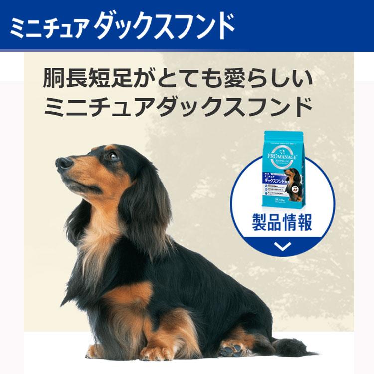 プロマネージ ミニチュアダックスフンド専用 1.7kg 成犬用 小粒