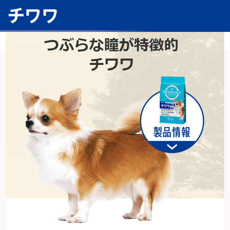 プロマネージ チワワ専用 1.7kg 成犬用 小粒 ドッグフード