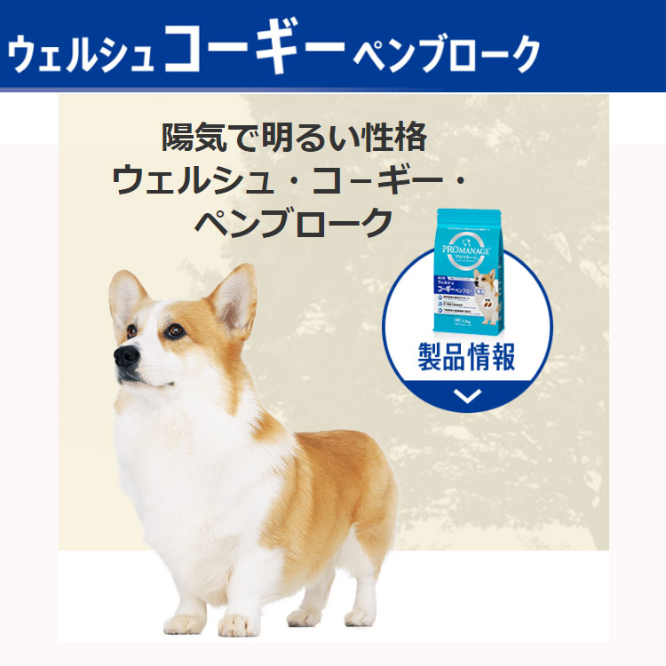 PROMANAGE ウェルシュ・コーギー専用 ドライフード 中粒 プロマネージ ウェルシュ・コ－ギー・ペンブローク専用 1.7kg 成