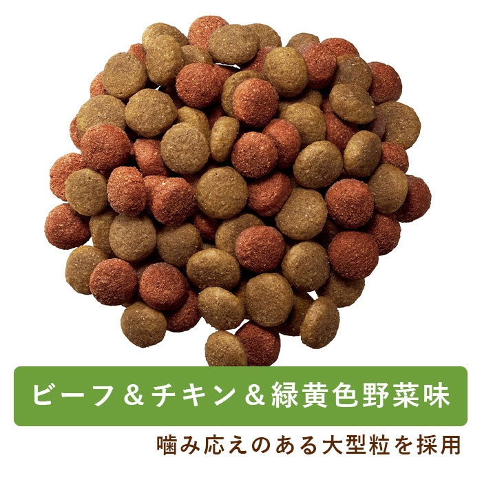 ペディグリー 大型犬用 ビーフ＆チキン＆緑黄色野菜味 10kg 大粒 大型