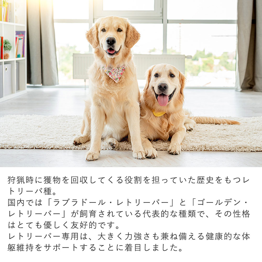 【10kg×3袋】　 Well Care レトリーバー専用 ドッグフード シニア 楽天市場】ウェルケア レトリーバー専用 アダルト(10kg