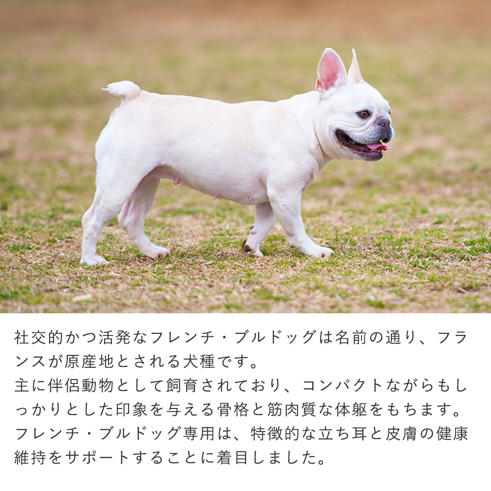 ウェルケア フレンチ・ブルドッグ専用 アダルト～シニア 5.5kg チキン