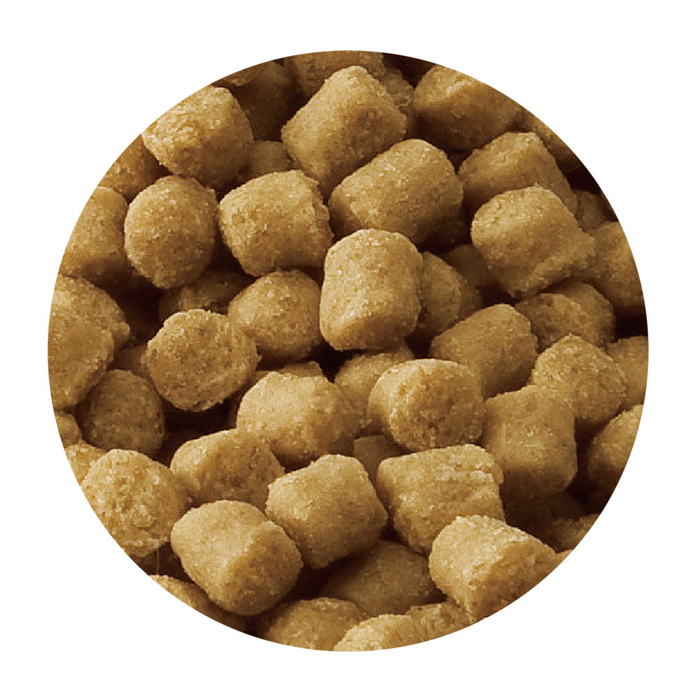 スタイルズ チワワ用 6歳以上 600g 成犬用 シニア犬用 高齢犬用