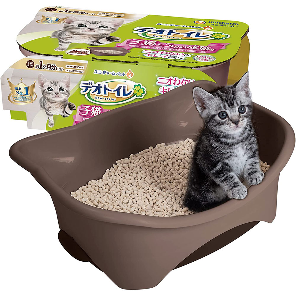 ��4�ĥ��åȡ�ǭ �ȥ��� �����ƥ�ȥ������� �ǥ��ȥ��� ��ǭ��5kg����ǭ�� ���Υ��å� �ͥ��ȥ��� ������� �ġ��ȥ�֥饦�� ��˥��㡼��