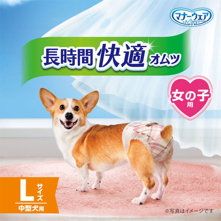 うんぽパンツ Sサイズ 153枚 WANCHI公式】うんぽパンツ サイズ表 うん