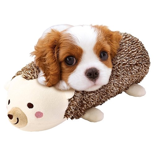 ボトル湯たんぽカバー ハリネズミ 犬用湯たんぽ 猫用湯たんぽ あったか