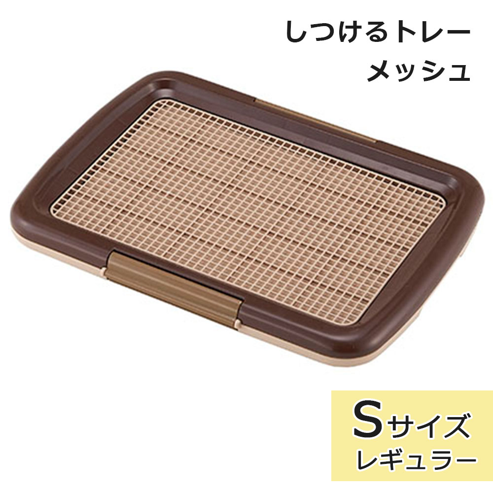 ���Ĥ���ȥ졼 ��å���ץ饹 S������ �֥饦�� �쥮��顼������ ���ѥȥ���ȥ졼 �ȥ������� ���Ĥ� ���������ɻ� �Ҥä����ɻ� Ķ�������� �������� �ܥ�ӥ��륳�� Bonbi