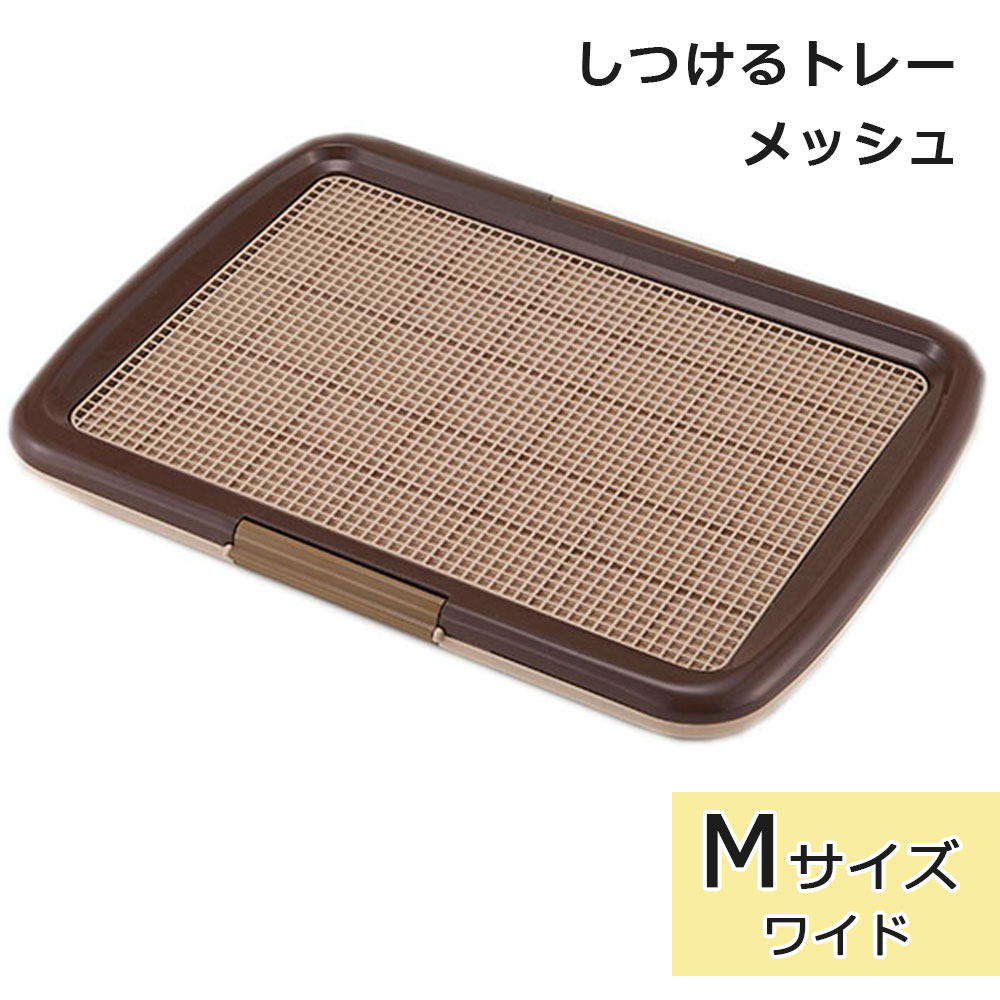 ���Ĥ���ȥ졼 ��å���ץ饹 M������ �֥饦�� �磻�ɥ����� ���ѥȥ���ȥ졼 �ȥ������� ���Ĥ� ���������ɻ� �Ҥä����ɻ� �������� �淿���� �ܥ�ӥ��륳�� Bonbi