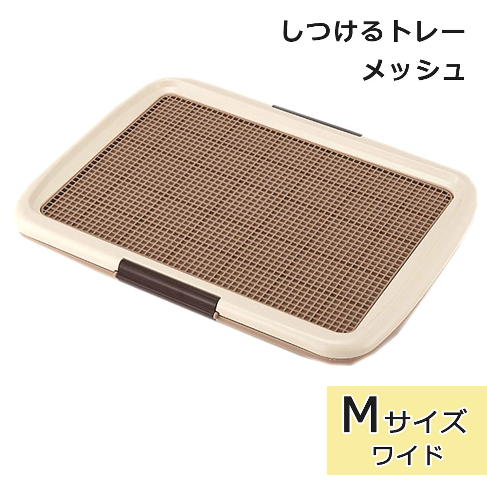 ���Ĥ���ȥ졼 ��å���ץ饹 M������ �����ܥ꡼ �磻�ɥ����� ���ѥȥ���ȥ졼 �ȥ������� ���Ĥ� ���������ɻ� �Ҥä����ɻ� �������� �淿���� �ܥ�ӥ��륳�� Bonbi