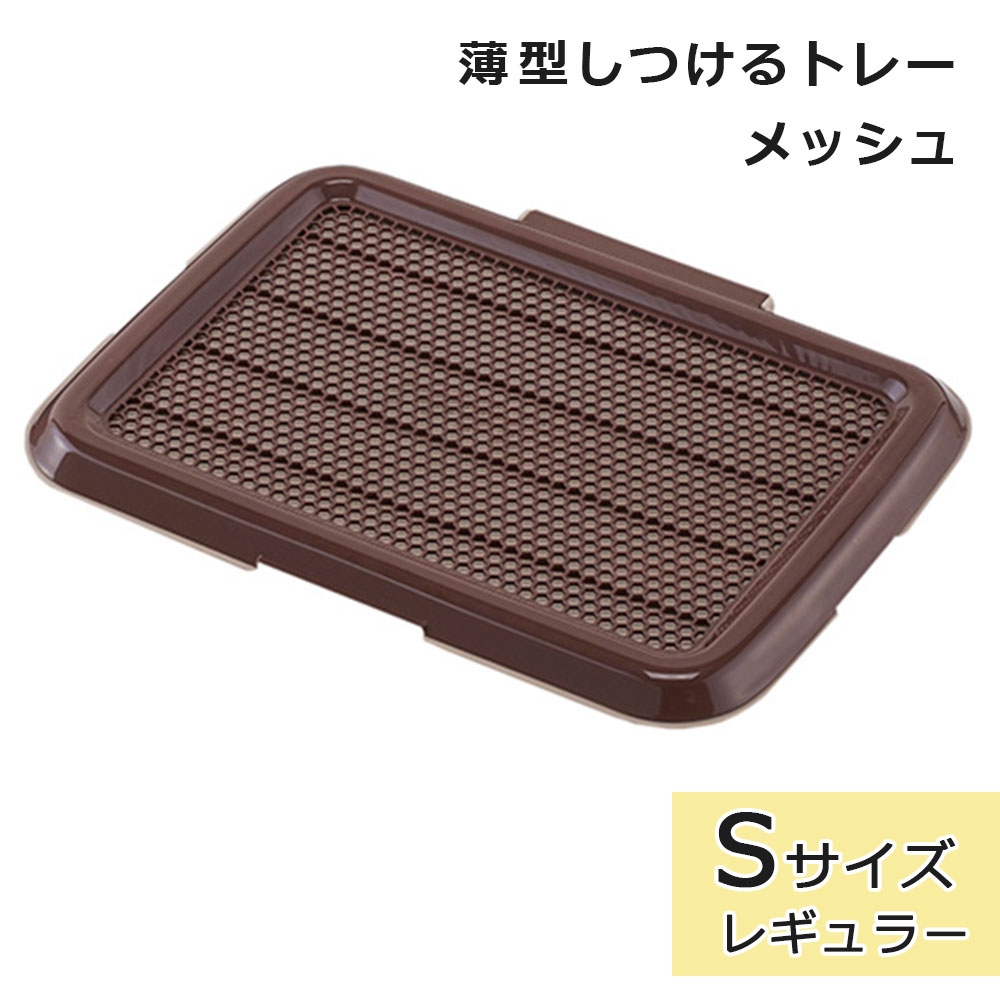 �� �ȥ���ȥ졼 �����ȥ졼 �쥮��顼������ ���ѥȥ���ȥ졼 �ȥ������� �������Ĥ���ȥ졼 S������ �֥饦�� ���Ĥ� ���������ɻ� �Ҥä����ɻ� �ܥ�ӥ��륳��