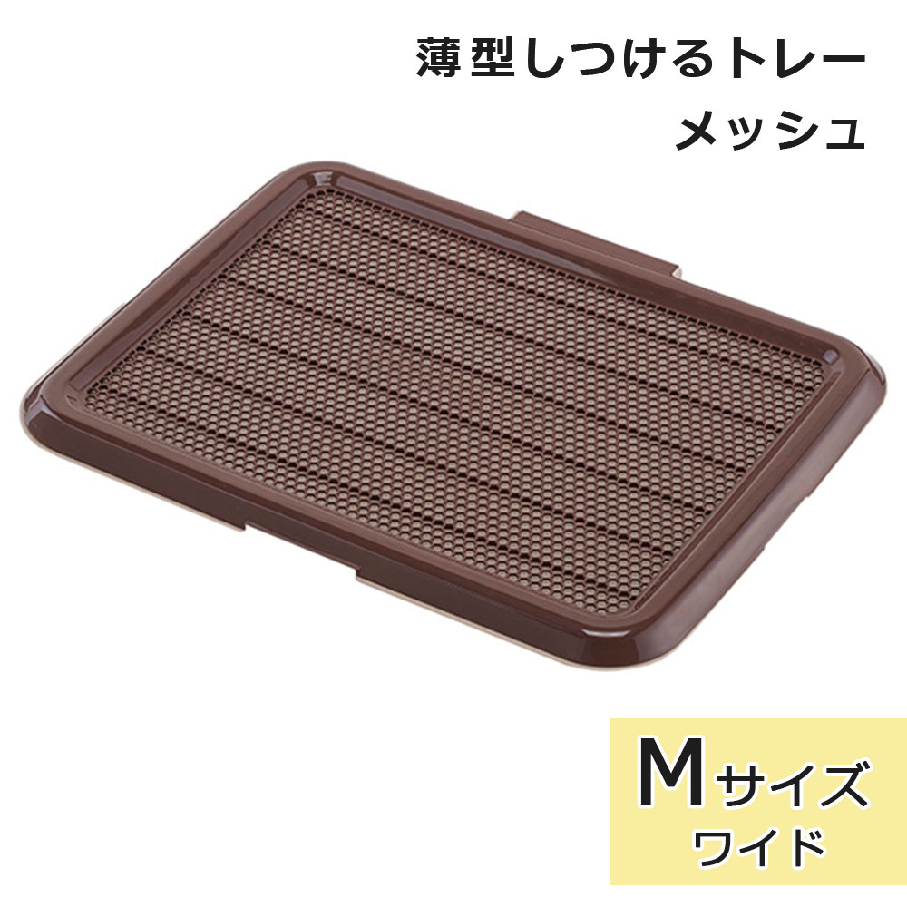 �� �ȥ���ȥ졼 �����ȥ졼 �磻�ɥ����� ���ѥȥ���ȥ졼 �ȥ������� �������Ĥ���ȥ졼 M������ �֥饦�� ���Ĥ� ���������ɻ� �Ҥä����ɻ� �ܥ�ӥ��륳��