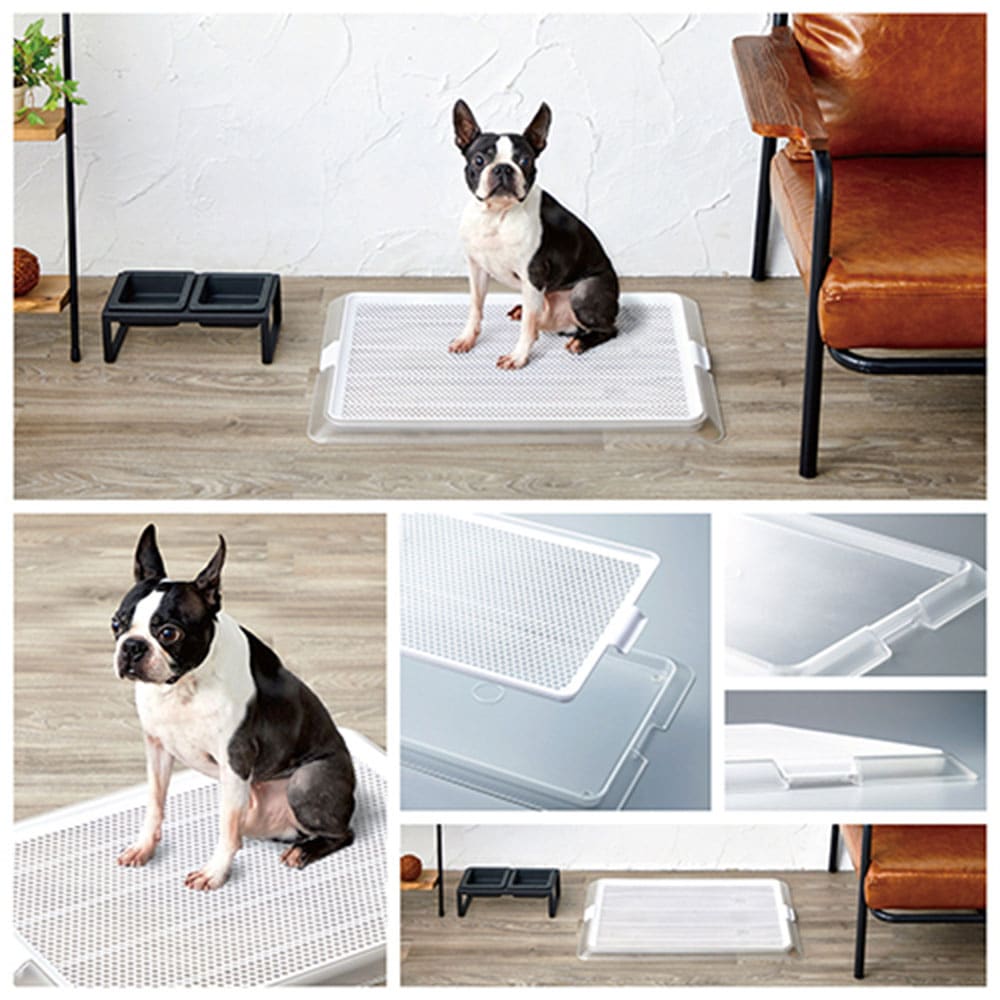 アクリル犬用トイレ メッシュトレイ ワイドサイズ Amazon | 犬 トイレトレー ワイド メッシュ 犬用トイレ