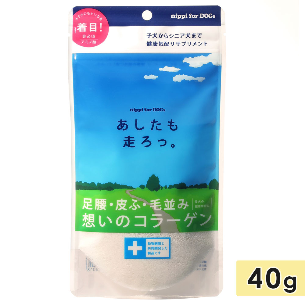 ץ 顼 ѷ  40g ߥλ Ҹ饷˥ޤ    Ϸ