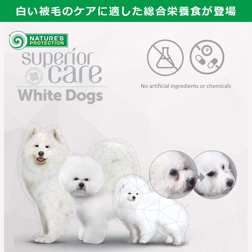 ホワイトドッグ　成犬用　ラム　10kg 予約注文】ホワイトドッグ ラム アダルト 10kg 【発送時期：11月