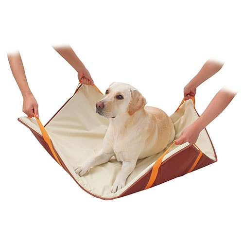 犬用品 | グッドドッグ通販サイト