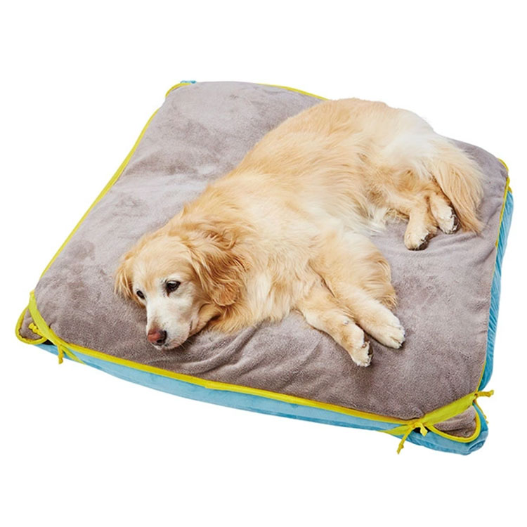 zuttone �����Ϥ��䤵���� ���å��� �ӡ��� �٥å� ������ �ɿ� �ޥå��� �� �������� ��ǭ���� ������ ������ ���˥����� ��ǭ�� ����ǭ�� ���˥�ǭ�� ���Ѳ������ ���ѴǸ����� ǭ�Ѳ������ ǭ�ѴǸ����� ����ѥ٥å� �Ǹ��ѥ٥å� ���äȤ� �ڥƥ��� Petio