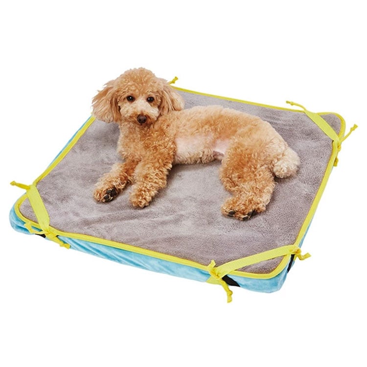 zuttone ���֤꤬�Ǥ��䤹�� ��ȿȯ �ե����С� �٥å� ������ �ɿ� �٥å��� �� ����ѥ٥å� �Ǹ��ѥ٥å� �������� ��ǭ���� ������ ������ ���˥����� ��ǭ�� ����ǭ�� ���˥�ǭ�� ���Ѳ������ ���ѴǸ����� ǭ�Ѳ������ ǭ�ѴǸ����� ���äȤ� �ڥƥ��� Petio