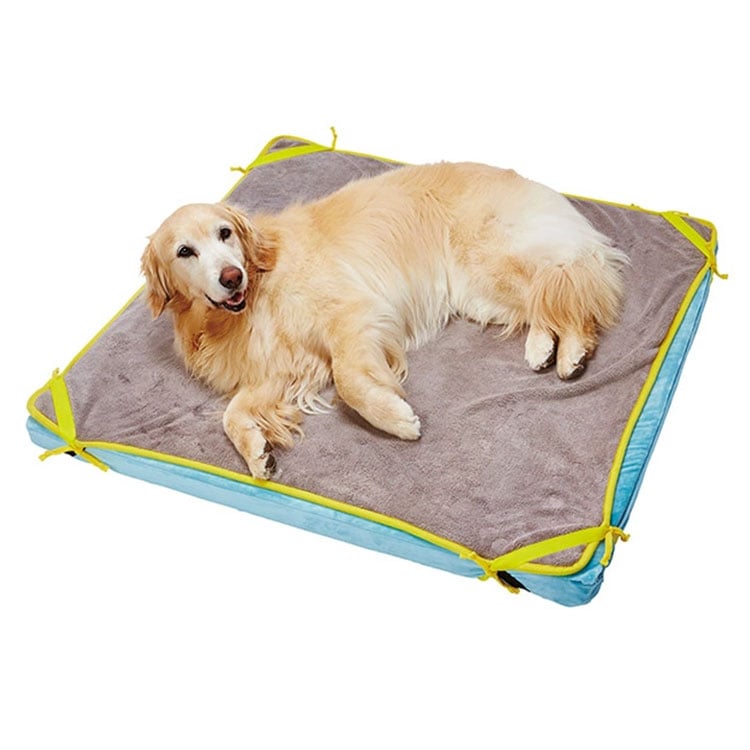 zuttone ���֤꤬�Ǥ��䤹�� ��ȿȯ �ե����С� �٥å� ������ �ɿ� �٥å��� �� ����ѥ٥å� �Ǹ��ѥ٥å� �������� ��ǭ���� ������ ������ ���˥����� ��ǭ�� ����ǭ�� ���˥�ǭ�� ���Ѳ������ ���ѴǸ����� ǭ�Ѳ������ ǭ�ѴǸ����� ���äȤ� �ڥƥ��� Petio