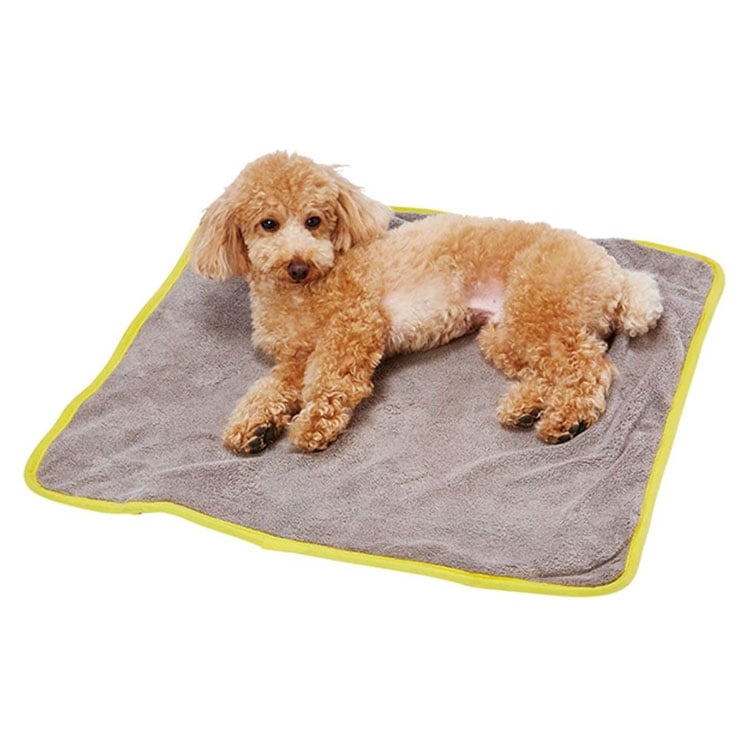 zuttone �䤵���� �꿨��� ������ �ɿ� �ޥå� �� ����ѥޥå� �Ǹ��ѥޥå� �������� ��ǭ���� ������ ������ ���˥����� ��ǭ�� ����ǭ�� ���˥�ǭ�� ���Ѳ������ ���ѴǸ����� ǭ�Ѳ������ ǭ�ѴǸ����� ����ѥ٥å� �Ǹ��ѥ٥å� ���äȤ� �ڥƥ��� Petio