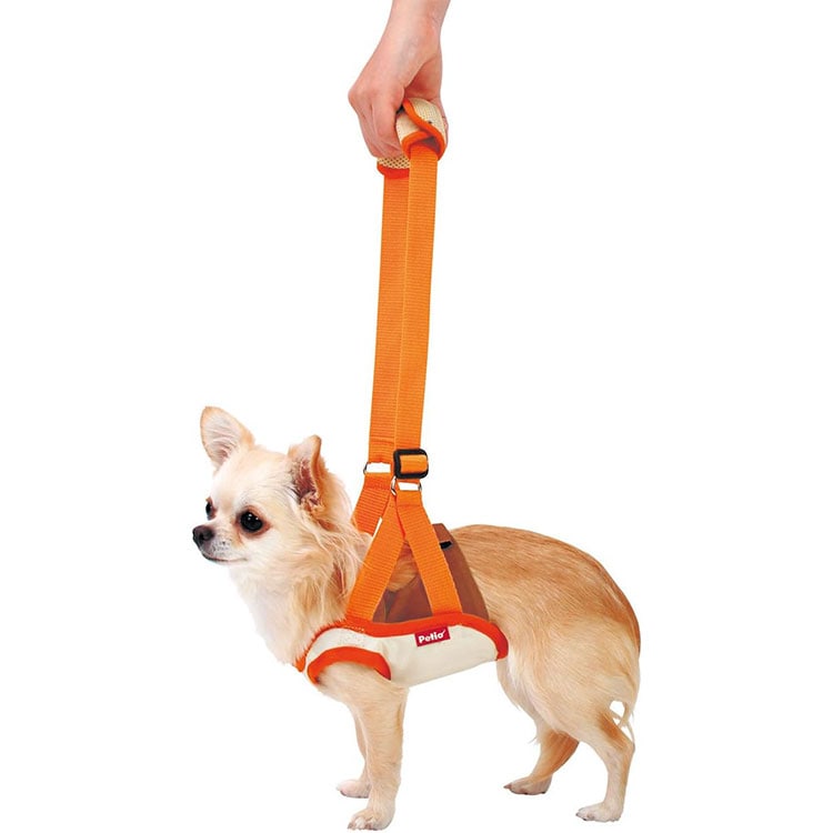 老犬 ペティオ zuttone 老犬介護用 歩行補助ハーネス 前足用 L 犬