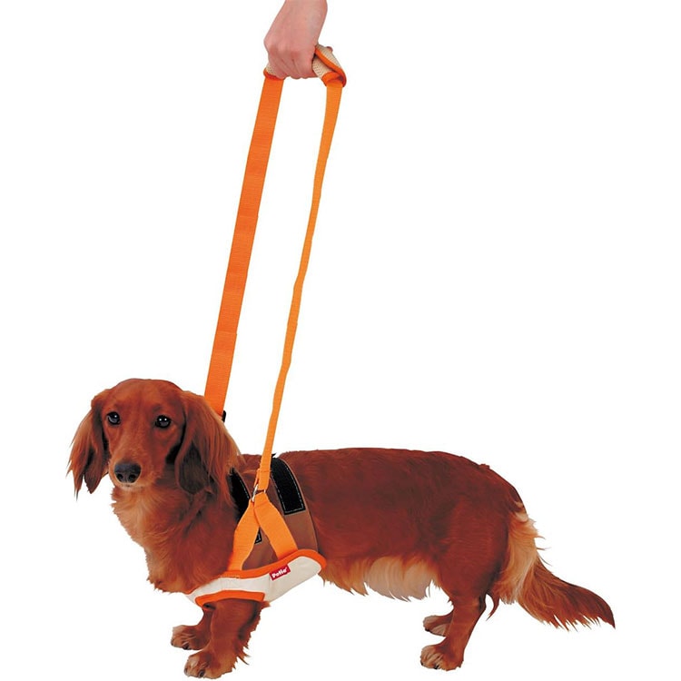 zuttone 老犬介護用 歩行補助ハーネス 前足用K Mサイズ 小型犬用