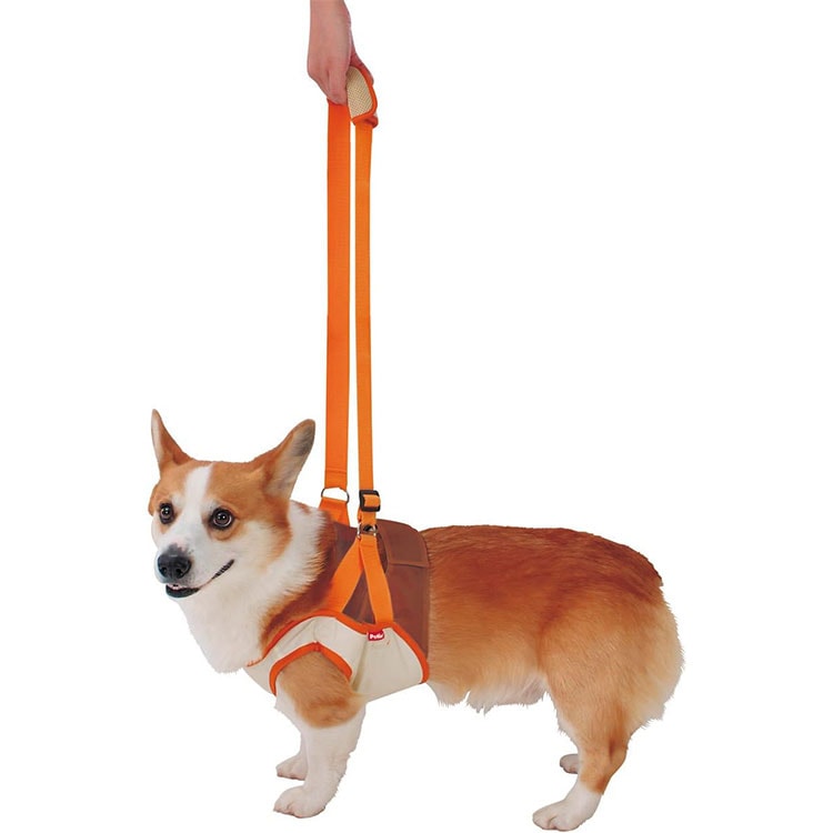 zuttone Ϸ������� �������ϡ��ͥ� ��­��K L������ �淿���� ������ ���˥����� Ϸ���� ���ѥϡ��ͥ� ����ѥϡ��ͥ� �Ǹ��ѥϡ��ͥ� ���Ѳ������ ���ѴǸ����� �ڥå��Ѳ������ �ڥå��ѴǸ����� ���äȤ� �ڥƥ��� Petio