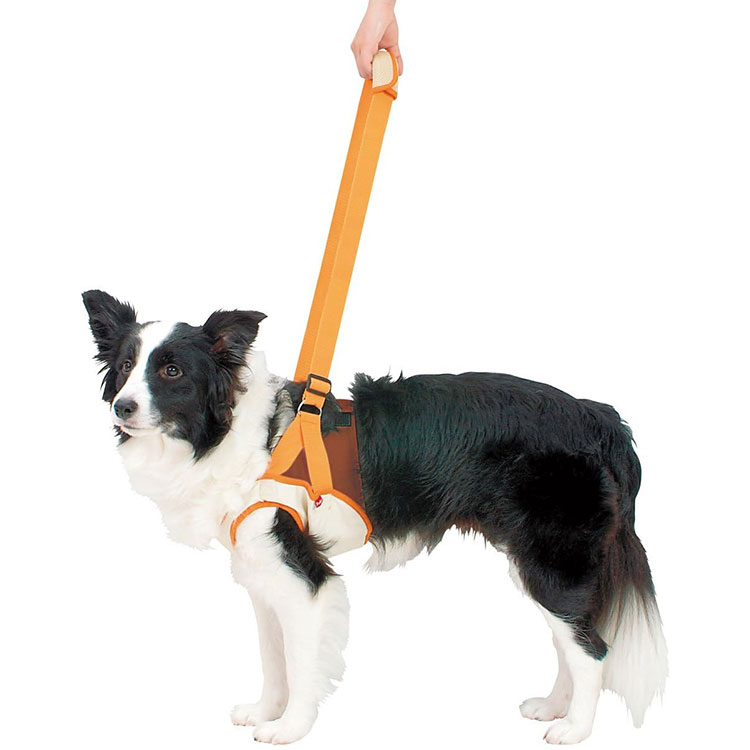 zuttone Ϸ������� �������ϡ��ͥ� ��­��K 2L������ �淿���� ������ ���˥����� Ϸ���� ���ѥϡ��ͥ� ����ѥϡ��ͥ� �Ǹ��ѥϡ��ͥ� ���Ѳ������ ���ѴǸ����� �ڥå��Ѳ������ �ڥå��ѴǸ����� ���äȤ� �ڥƥ��� Petio