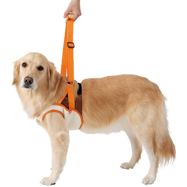 歩行補助ハーネス Amazon | Wintchuk老犬 介護用品 犬 歩行補助 ハーネス 介護用