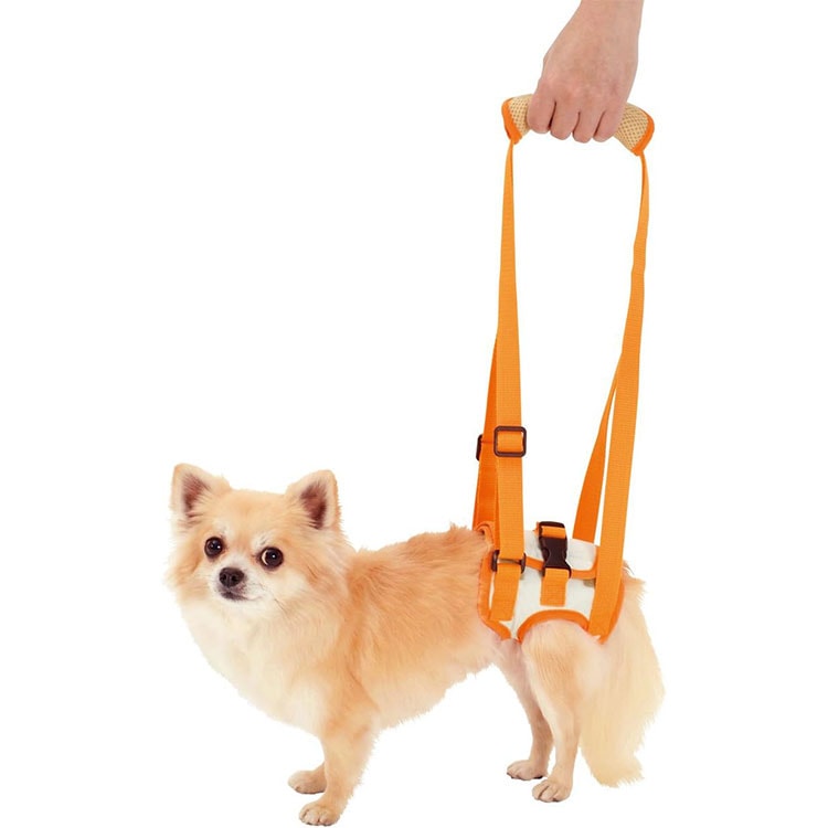 zuttone Ϸ������� �������ϡ��ͥ� ��­��K S������ Ķ�������� ������ ���˥����� Ϸ���� ���ѥϡ��ͥ� ����ѥϡ��ͥ� �Ǹ��ѥϡ��ͥ� ���Ѳ������ ���ѴǸ����� �ڥå��Ѳ������ �ڥå��ѴǸ����� ���äȤ� �ڥƥ��� Petio